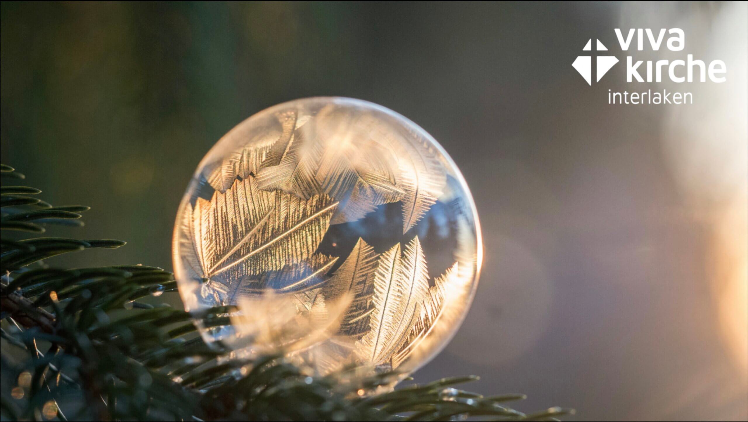 Weihnachtspredigt